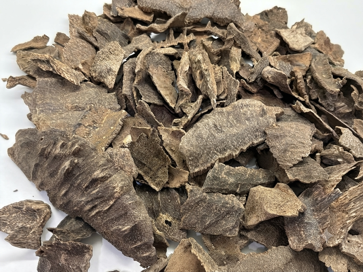 CHIR HINDI DOBUL SUPER