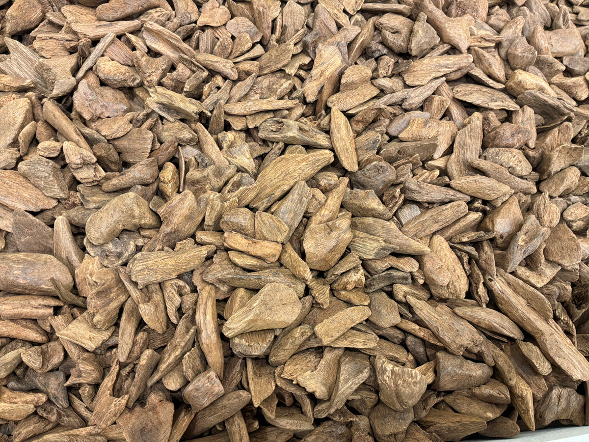 KINAMI | كينامي