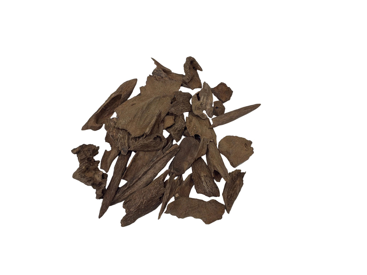 OUD TJORI DOUBLE SUPER MEDIUM SIZE | عود تجوري دبل سوبر حجم وسط